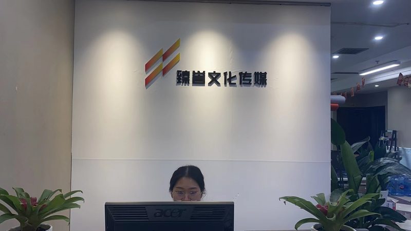 文化传媒公司做账服务费到底花在哪